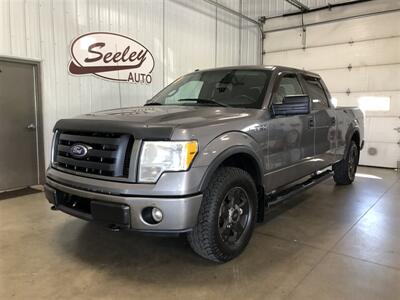 2010 Ford F-150 FX4   - Photo 2 - Saint Louis, MI 48880-9800
