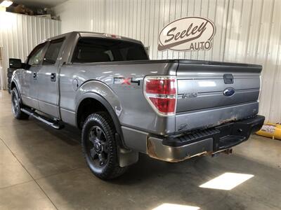 2010 Ford F-150 FX4   - Photo 3 - Saint Louis, MI 48880-9800