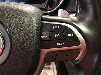 2017 Jeep Grand Cherokee Trailhawk   - Photo 11 - Saint Louis, MI 48880-9800