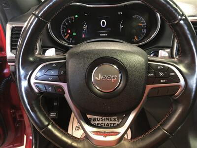 2017 Jeep Grand Cherokee Trailhawk   - Photo 9 - Saint Louis, MI 48880-9800