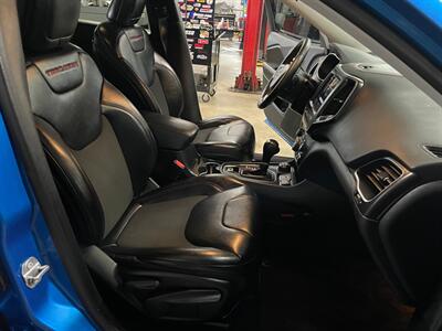 2019 Jeep Cherokee Trailhawk - Photo 17 - Saint Louis, MI 48880-9800