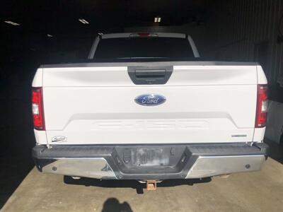 2019 Ford F-150 XLT   - Photo 21 - Saint Louis, MI 48880-9800