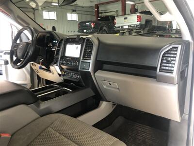 2019 Ford F-150 XLT   - Photo 17 - Saint Louis, MI 48880-9800