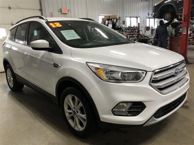 2018 Ford Escape SE   - Photo 3 - Saint Louis, MI 48880-9800