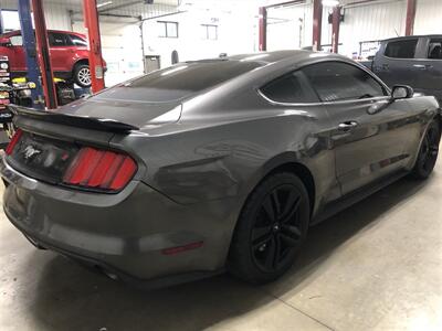 2016 Ford Mustang EcoBoost   - Photo 5 - Saint Louis, MI 48880-9800