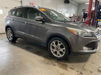 2014 Ford Escape Titanium   - Photo 4 - Saint Louis, MI 48880-9800
