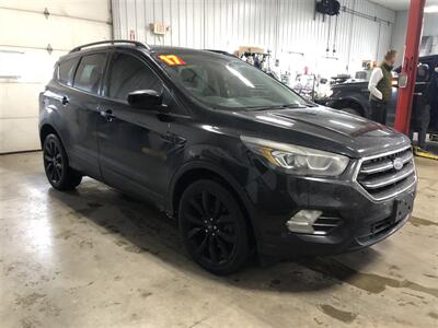 2017 Ford Escape SE   - Photo 5 - Saint Louis, MI 48880-9800