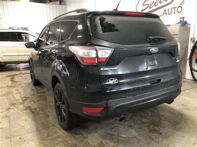 2017 Ford Escape SE   - Photo 3 - Saint Louis, MI 48880-9800