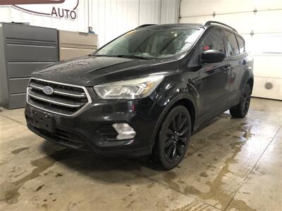 2017 Ford Escape SE   - Photo 2 - Saint Louis, MI 48880-9800