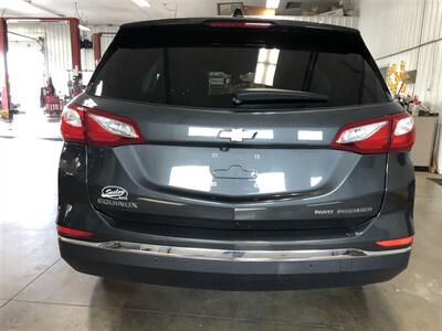 2019 Chevrolet Equinox Premier   - Photo 23 - Saint Louis, MI 48880-9800