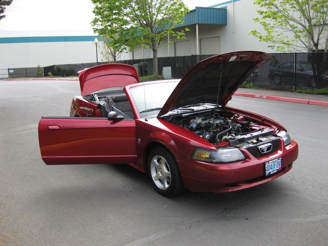 2003 Ford Mustang Deluxe CONVERTIBLE POWER TOP V6 / AUTOMATIC   - Photo 15 - Portland, OR 97217