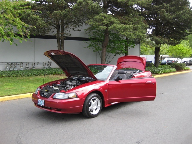 2003 Ford Mustang Deluxe CONVERTIBLE POWER TOP V6 / AUTOMATIC   - Photo 9 - Portland, OR 97217