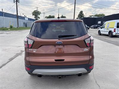 2017 Ford Escape SE   - Photo 3 - Winnipeg, MB R3L 0M4