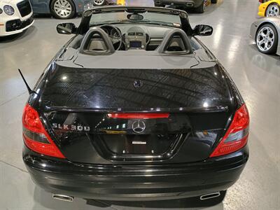 2011 Mercedes-Benz SLK 300 AMG Sport - Photo 6 - Boca Raton, FL 33431