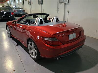2016 Mercedes-Benz SLK SLK 300   - Photo 4 - Boca Raton, FL 33431