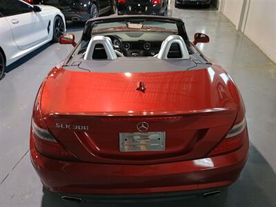 2016 Mercedes-Benz SLK SLK 300   - Photo 6 - Boca Raton, FL 33431