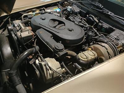 1982 Chevrolet Corvette Collector Edition   - Photo 35 - Boca Raton, FL 33431