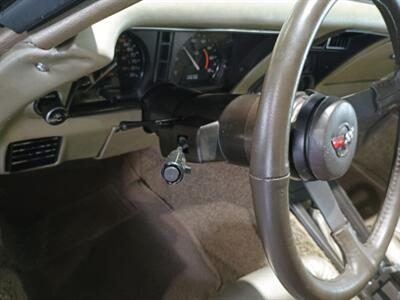1982 Chevrolet Corvette Collector Edition   - Photo 18 - Boca Raton, FL 33431