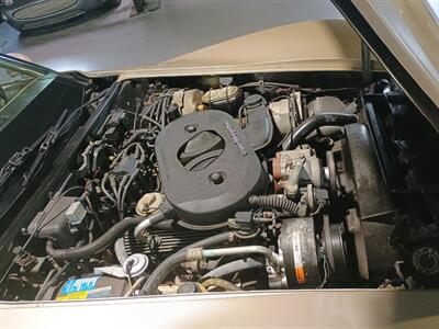 1982 Chevrolet Corvette Collector Edition   - Photo 33 - Boca Raton, FL 33431