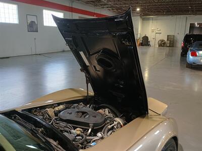 1982 Chevrolet Corvette Collector Edition   - Photo 31 - Boca Raton, FL 33431