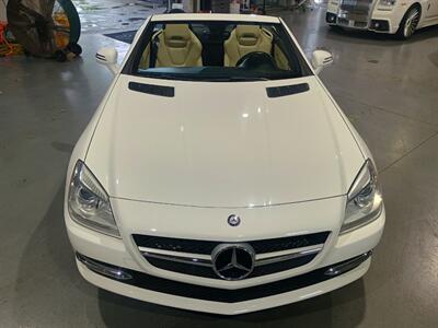 2015 Mercedes-Benz SLK SLK 250 - Photo 10 - Boca Raton, FL 33431