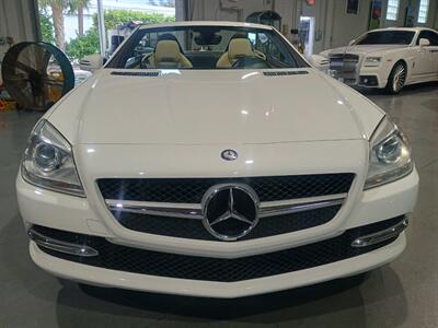 2015 Mercedes-Benz SLK SLK 250 - Photo 9 - Boca Raton, FL 33431