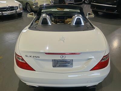 2015 Mercedes-Benz SLK SLK 250 - Photo 5 - Boca Raton, FL 33431