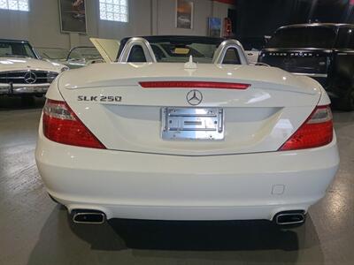 2015 Mercedes-Benz SLK SLK 250 - Photo 4 - Boca Raton, FL 33431
