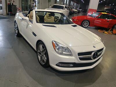 2015 Mercedes-Benz SLK SLK 250 - Photo 8 - Boca Raton, FL 33431