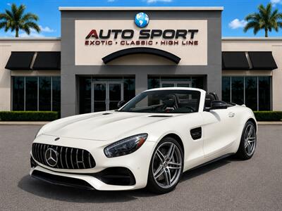 2018 Mercedes-Benz Mercedes-AMG amg gt convertible Convertible
