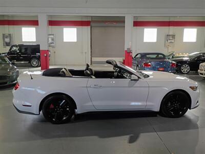 2015 Ford Mustang EcoBoost Premium convertible - Photo 8 - Boca Raton, FL 33431