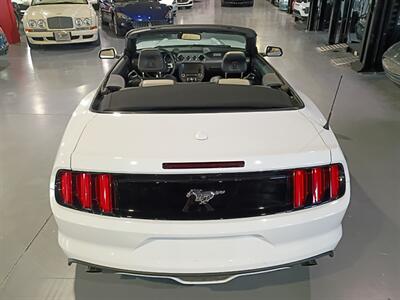 2015 Ford Mustang EcoBoost Premium convertible - Photo 5 - Boca Raton, FL 33431