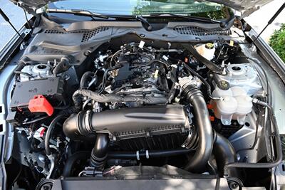 2024 Ford Mustang   - Photo 19 - Boca Raton, FL 33431