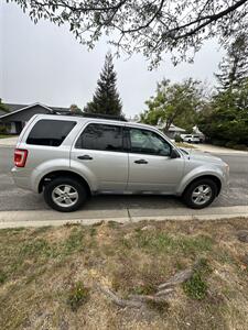 2011 Ford Escape XLT   - Photo 3 - North Hollywood, CA 91601