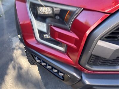 2019 Ford F-150 Raptor   - Photo 10 - North Hollywood, CA 91601