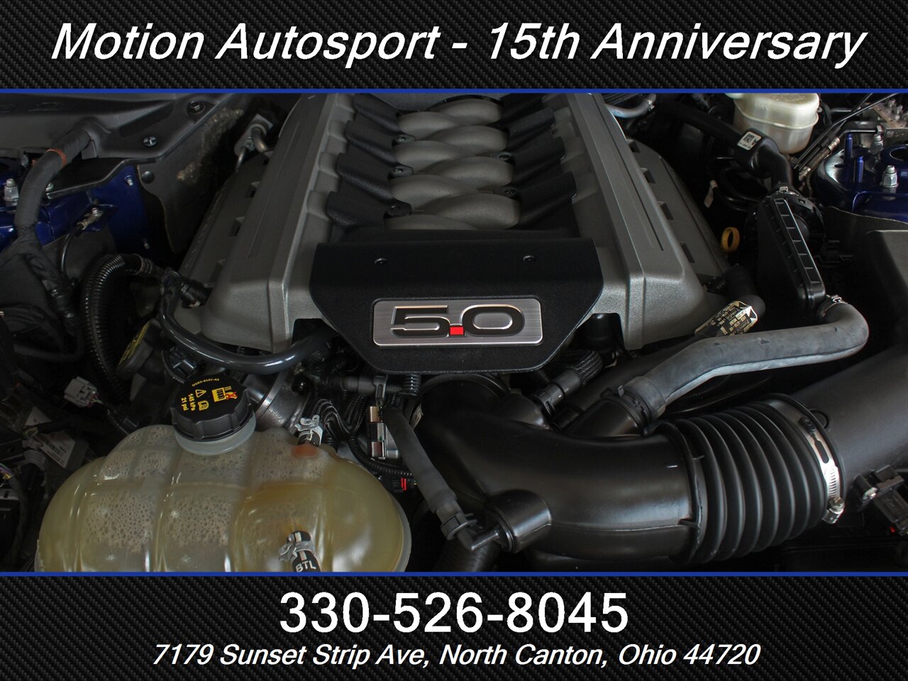 2015 Ford Mustang GT Premium  50Th Anniversary - Photo 13 - North Canton, OH 44720