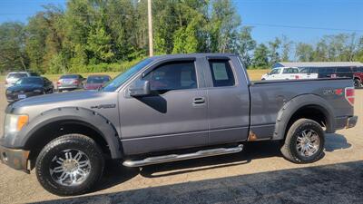 2010 Ford F-150 STX   - Photo 3 - Wintersville, OH 43953