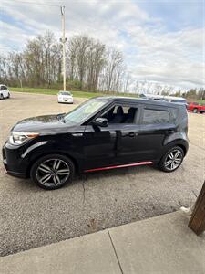 2015 Kia Soul + Wagon