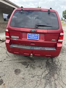 2010 Ford Escape XLT   - Photo 3 - Wintersville, OH 43953
