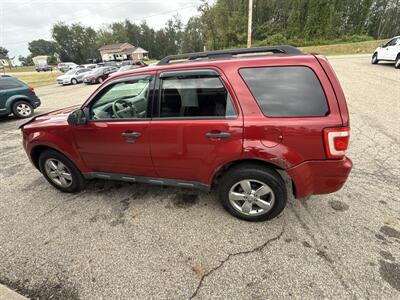2010 Ford Escape XLT   - Photo 2 - Wintersville, OH 43953