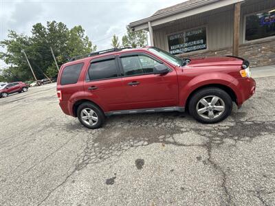 2010 Ford Escape XLT   - Photo 5 - Wintersville, OH 43953