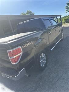 2014 Ford F-150 XL   - Photo 1 - Wintersville, OH 43953