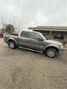 2012 Ford F-150 XLT Truck