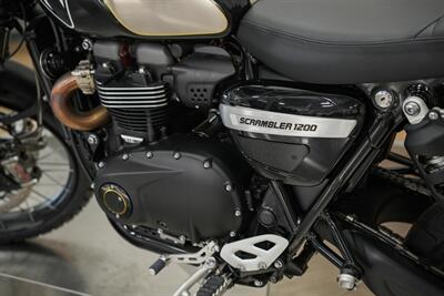 2021 Triumph Bond Scrambler   - Photo 18 - Springfield, MO 65802