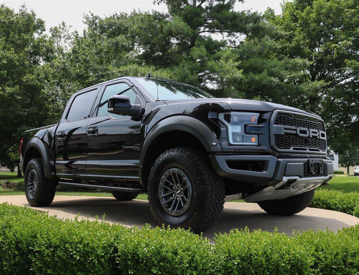 2019 Ford F-150 Raptor