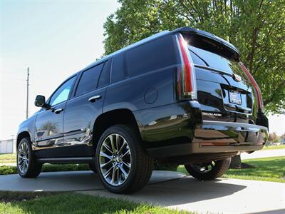 2019 Cadillac Escalade Platinum   - Photo 29 - Springfield, MO 65802