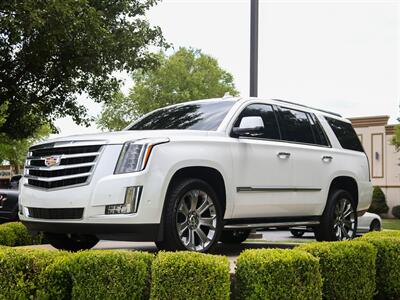 2019 Cadillac Escalade Luxury   - Photo 28 - Springfield, MO 65802