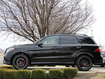 2017 Mercedes-Benz GLE AMG GLE 63 S   - Photo 47 - Springfield, MO 65802