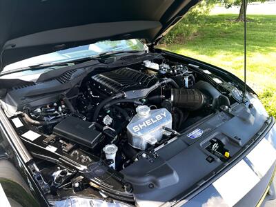 2019 Ford Mustang GT  Heritage - Photo 33 - Springfield, MO 65802