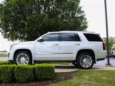 2016 Cadillac Escalade Platinum   - Photo 29 - Springfield, MO 65802